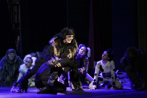 IMG 8810