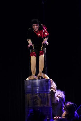 IMG 9290